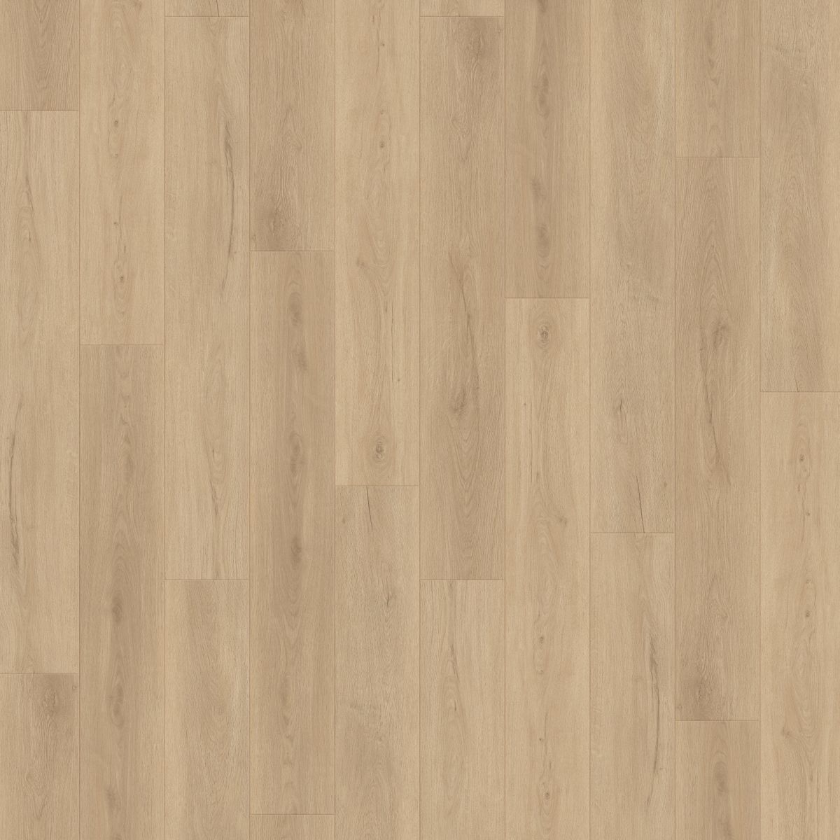 jakarta oak 